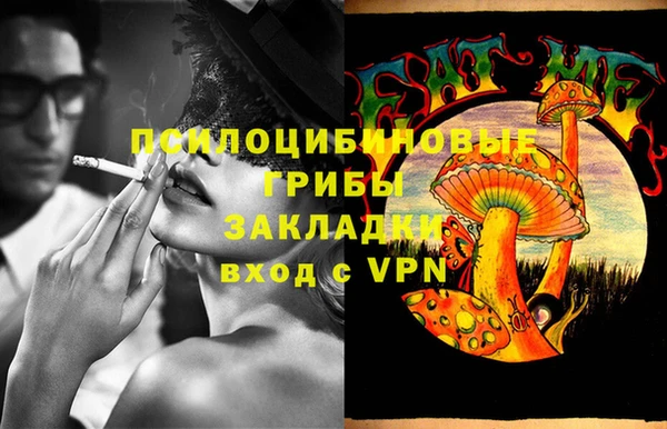 прущие крисы Алексин