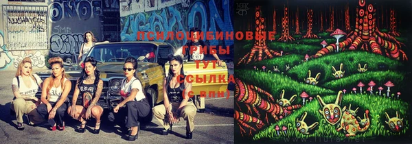 бошки Алзамай