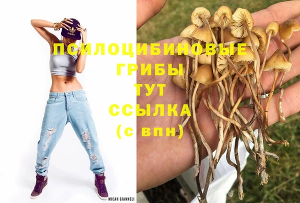 прущие крисы Алексин