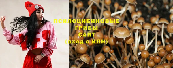 прущие крисы Алексин